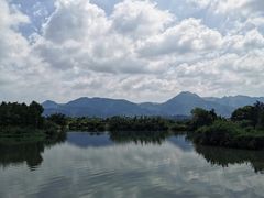 -三垟湿地