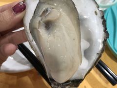 -蚝专家(北滘店)