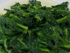 酒香豆苗-老吉士酒家(天平路店)