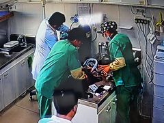 -派美特宠物医院·核磁CT·骨科肿瘤·疑难转诊(沈农禾丰店)