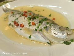 -紫藤园·天目湖大鱼头(南山竹海店)
