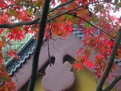 -灵隐飞来峰景区
