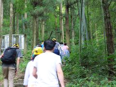 -东天目山风景区