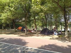 -艾溪湖湿地公园