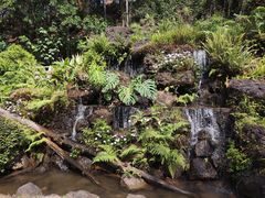 -深圳仙湖植物园