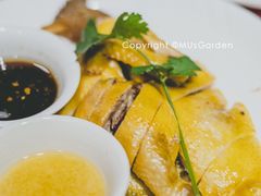广东白切鸡-粤香楼(新光里店)
