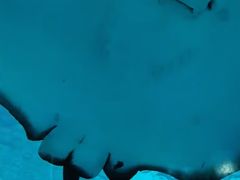-厦门海底世界