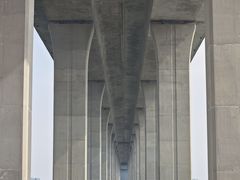 -中澳友谊花园