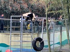 -天目湖御水温泉·度假酒店