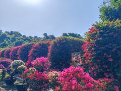 -三亚蜈支洲岛旅游区