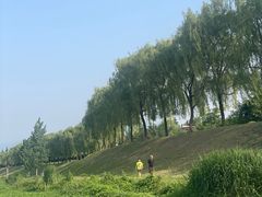 -洨河生态公园