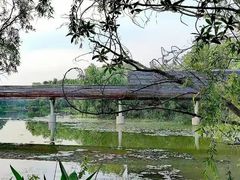 -昆山城市生态森林公园