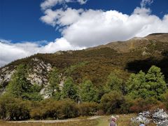 -铁山坪森林公园