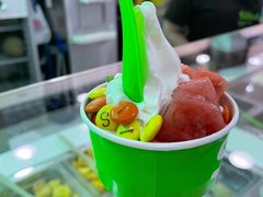 -Salud撒露欧洲冻酸奶(五道口购物中心店)