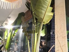 -原味主张椰子鸡·脆皮文昌鸡煲(友谊广场店)