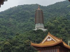 -深圳仙湖植物园