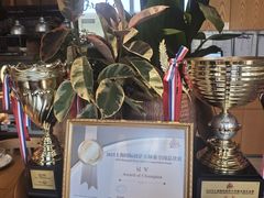 -Grande A'moo(上海万象城店)