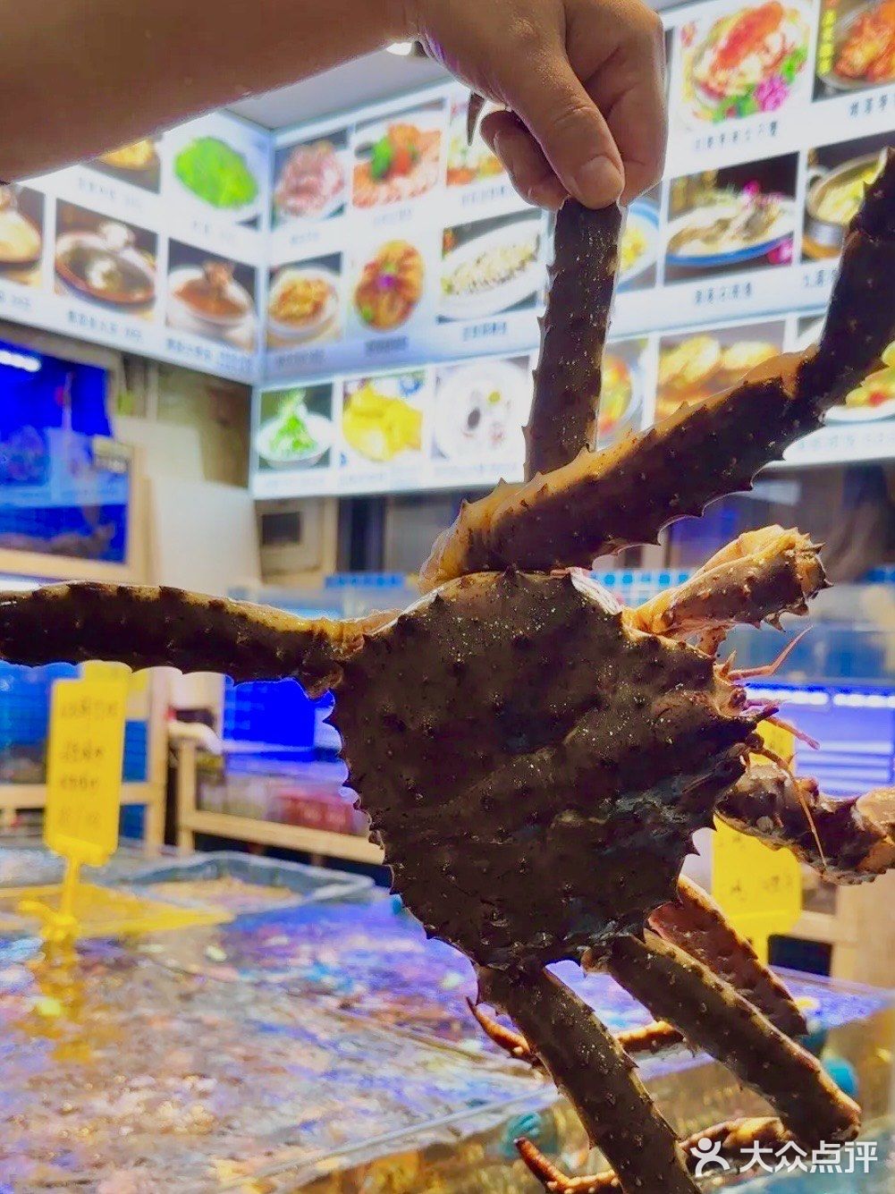 谢师宴当然是吃海鲜啊