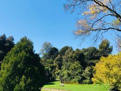 -墨尔本皇家植物园