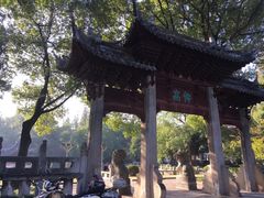 -汇龙潭