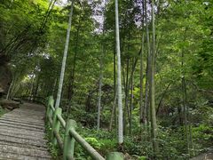 -藏龙百瀑风景区