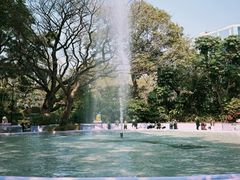 -九龙公园