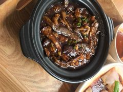 -美食小镇·观赏珍稀鸟类·长隆熊猫酒店