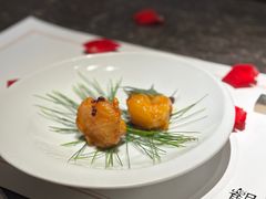 -觀芷隐轩