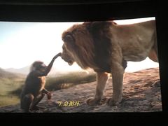 -大光明电影院(南京西路店)