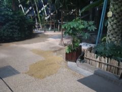-麦积山温泉