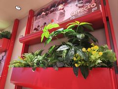 -大师兄·西北小馆(金湾华发商都店)