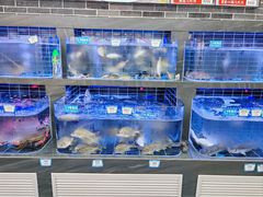 -蛇平饭店(明园路店)