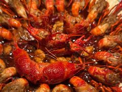 -红盔甲·小龙虾(天钥桥店)