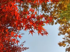 -梁鸿国家湿地公园