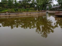 -迎泽公园