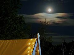 -饮湖威士忌鸡尾酒吧