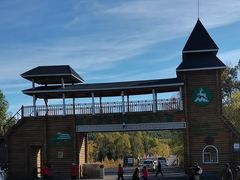 -莫尔道嘎国家森林公园