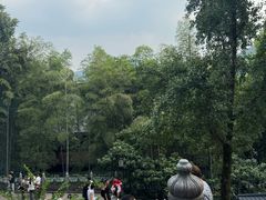 -灵隐飞来峰景区