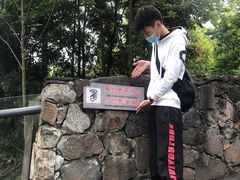 -都江堰中华大熊猫苑