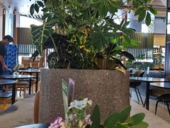 -gaga(深圳福田星河COCO Park店)
