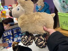 -FAELING PETS美天灵宠物(富力广场店)
