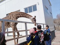 -水上乐园·欢乐世界