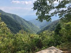 -东天目山风景区