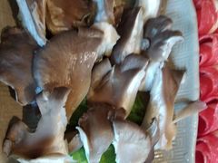 -小龙坎老火锅(北京三里屯店)