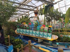 -南宫五洲植物乐园