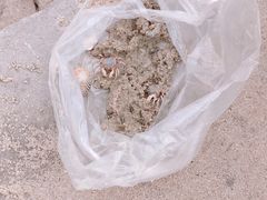 -北海金海湾红树林生态旅游区