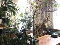 -蓝山四季西餐植物店