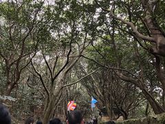 -普陀山慧济禅寺