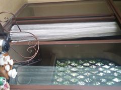 android_upload_pic-厦门帝元维多利亚大酒店(环岛路黄厝海滩店)