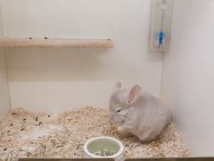 -龙猫仔乐园(惠福东路店)